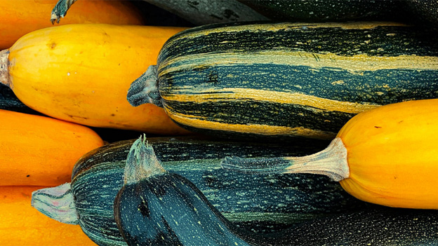 Courgettes