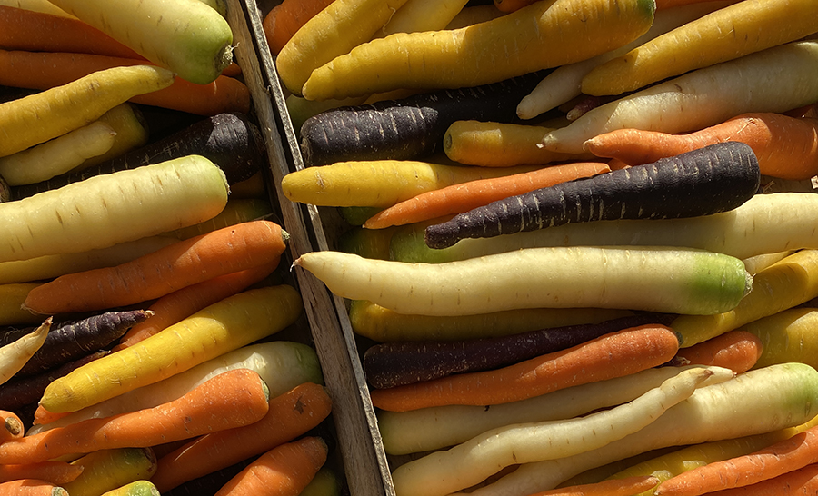 Carottes