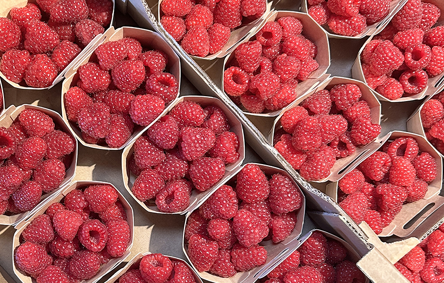 Framboise