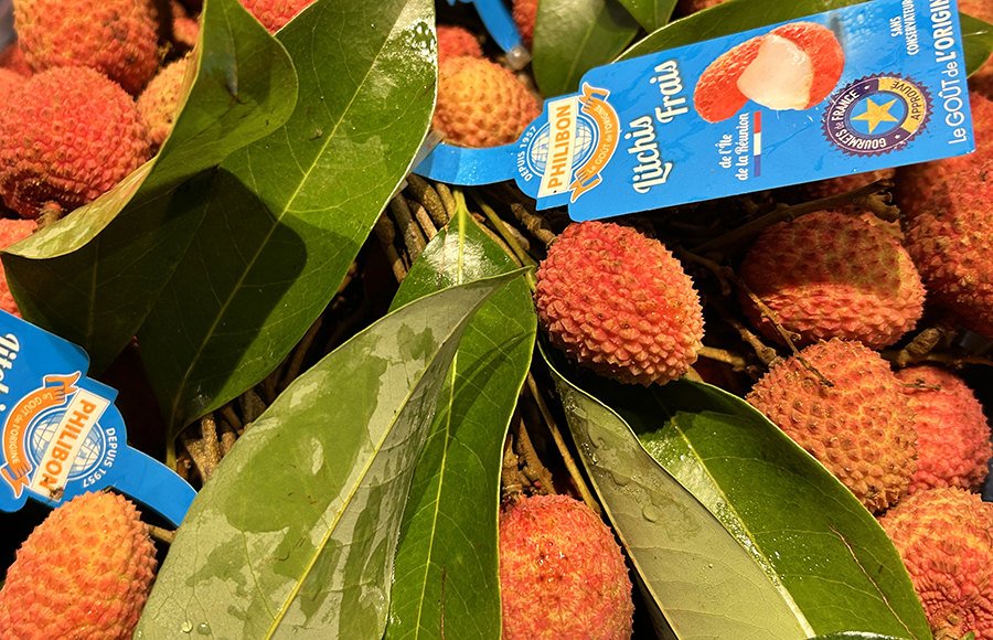 Litchi