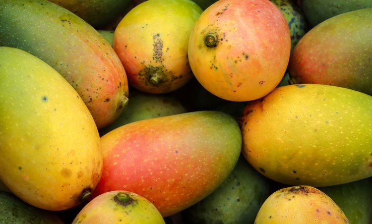 Mangue