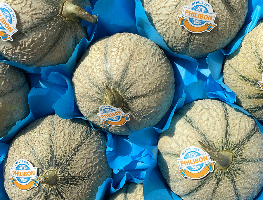 Melon