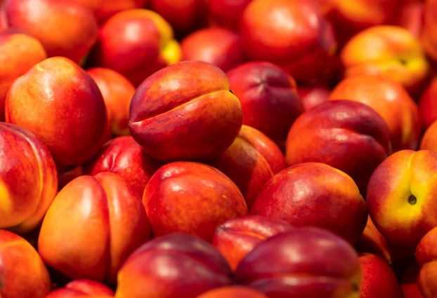 Nectarines