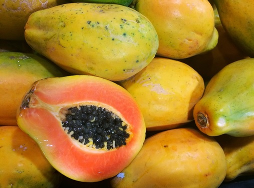 Papayes