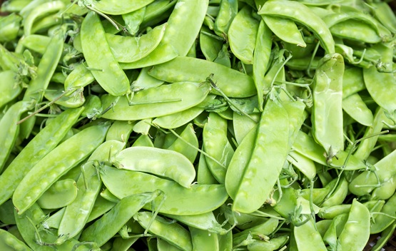 Pods gourmand