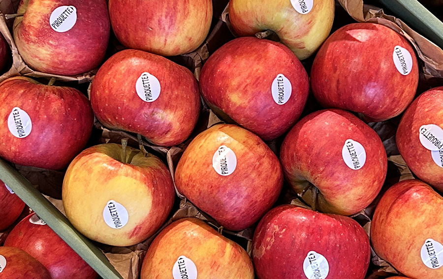 Pomme