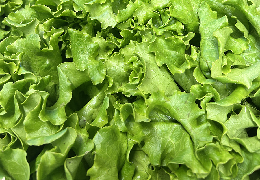Salade