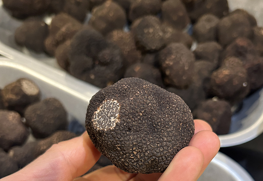 Truffe