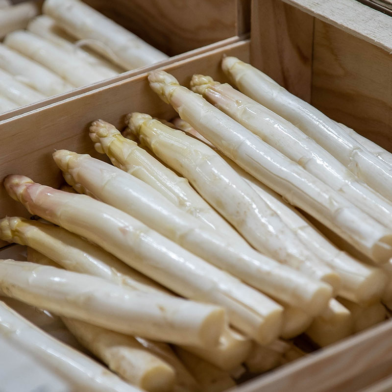 Asperge lavage 05